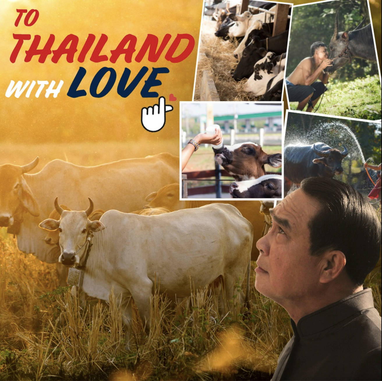 To Thailand With Love