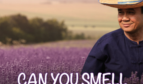 Warlords, mafias, and tycoons: a Siamese lavender field